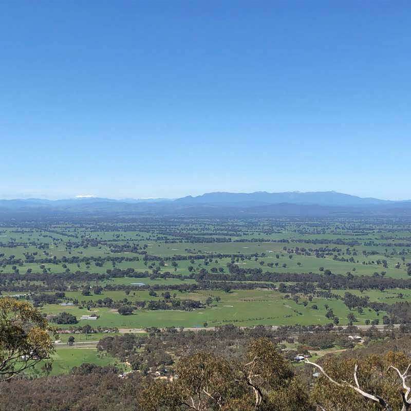 Hike - Ridge track to Mt. Glenrowan, Moonlight track and Casuarina track walking route map in Taminick