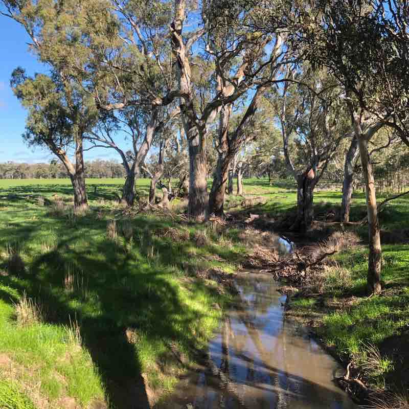 Peaceful Three Bridges Farmland Walk walking route map in Thoona