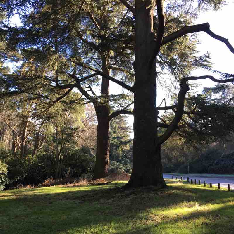 Wolferton & Sandringham Walk Trail King's Lynn, England Pacer
