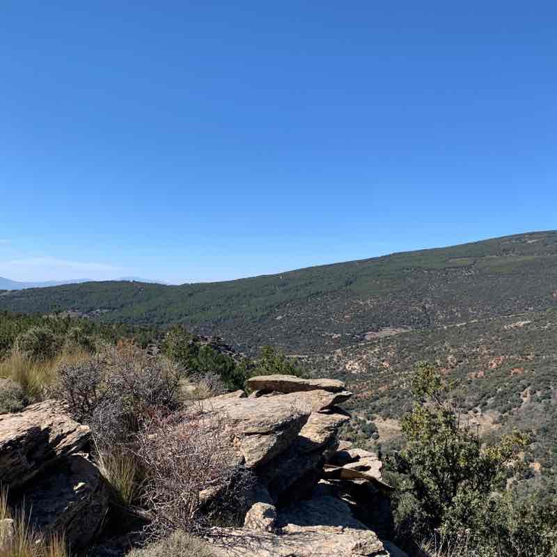 Hidroeléctrica-cortafuego aguadero 