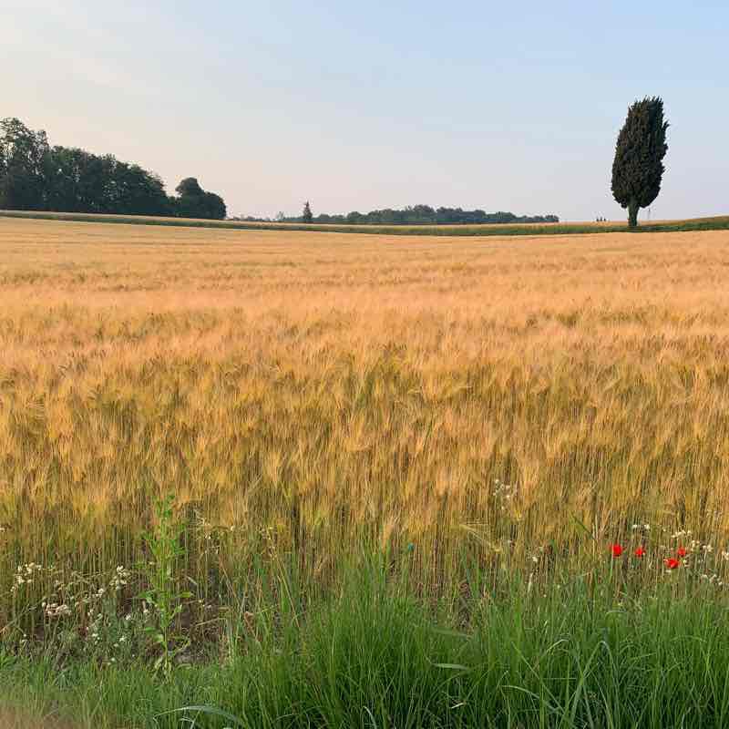 Countryside walking route map in Zanina