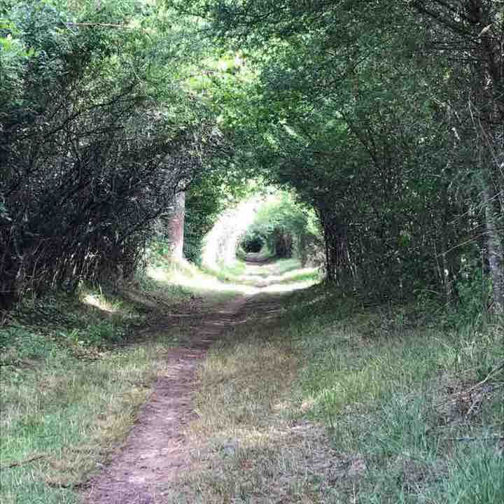Saint avit - The biron capelle walking route map in Lacapelle-Biron