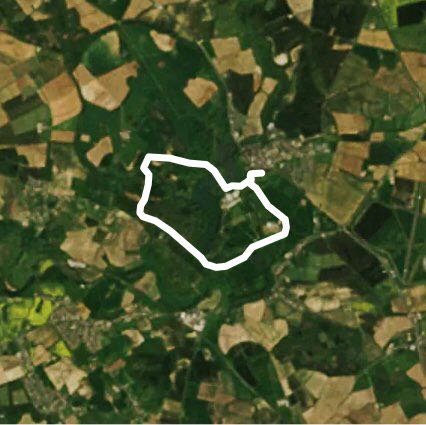 Stunning Blenheim Palace