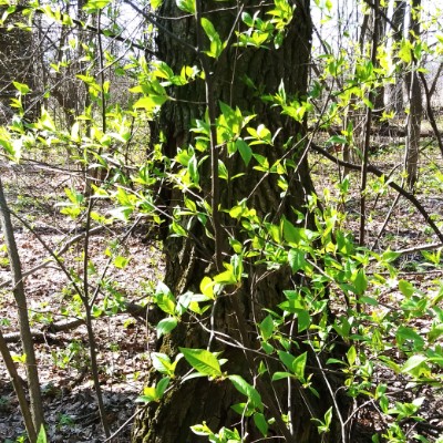 Щёкино Vitaliy post image