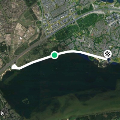 Gooimeer