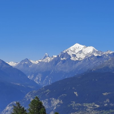 Capricornemuse Martin 🇨🇭 post image
