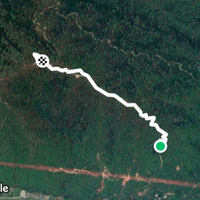 Path to Maula Kalika Temple