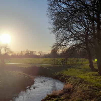 leonieladybug12 post 1