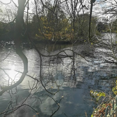 soniaharrison post 2