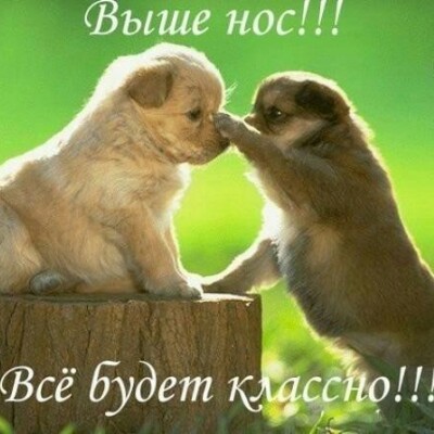CHAMPIONS Свет post image