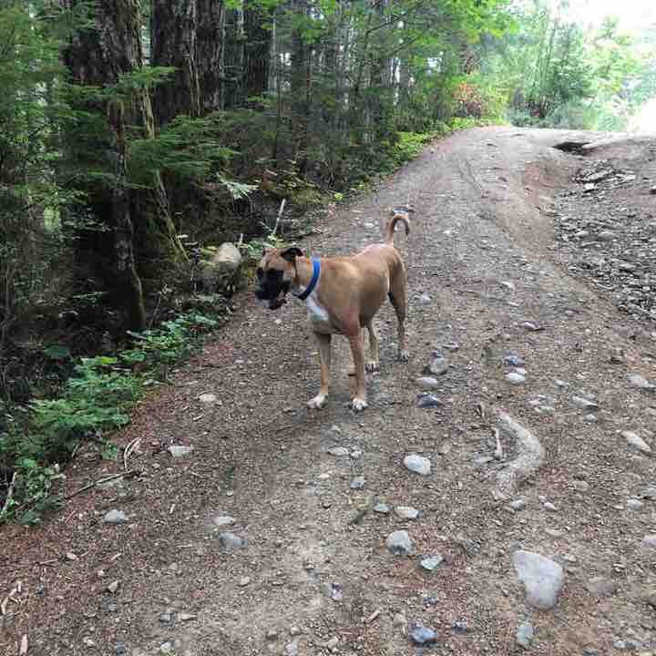 Port Alberni Lookout & Hole in Wall