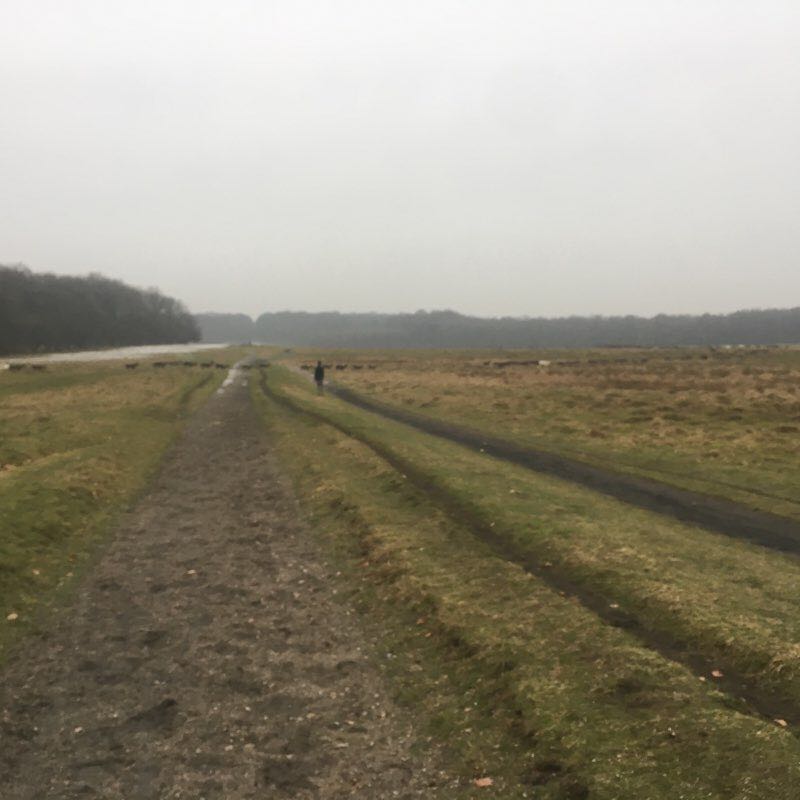 Dyreparken