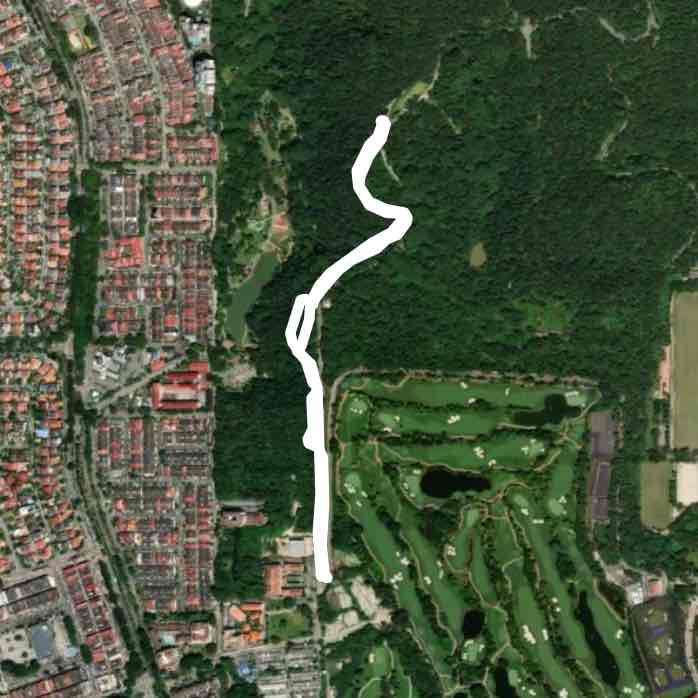 Short bukit kiara jungle