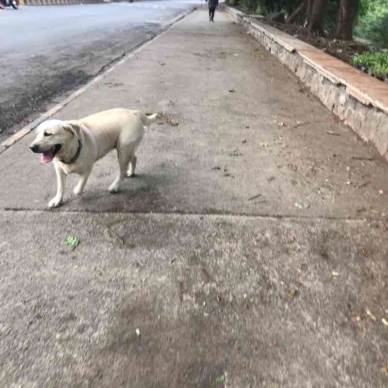 Pranam hotel main road 