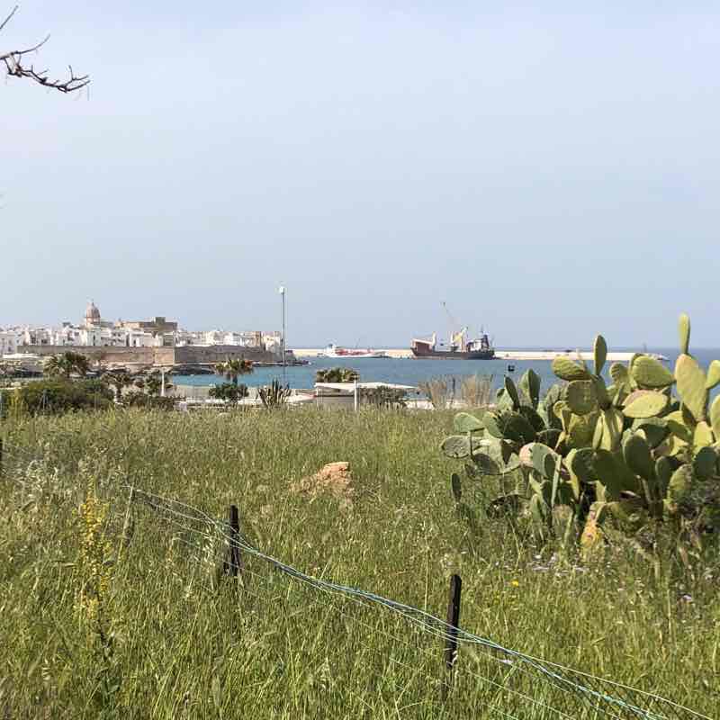Monopoli - lido Santo Stefano in bici