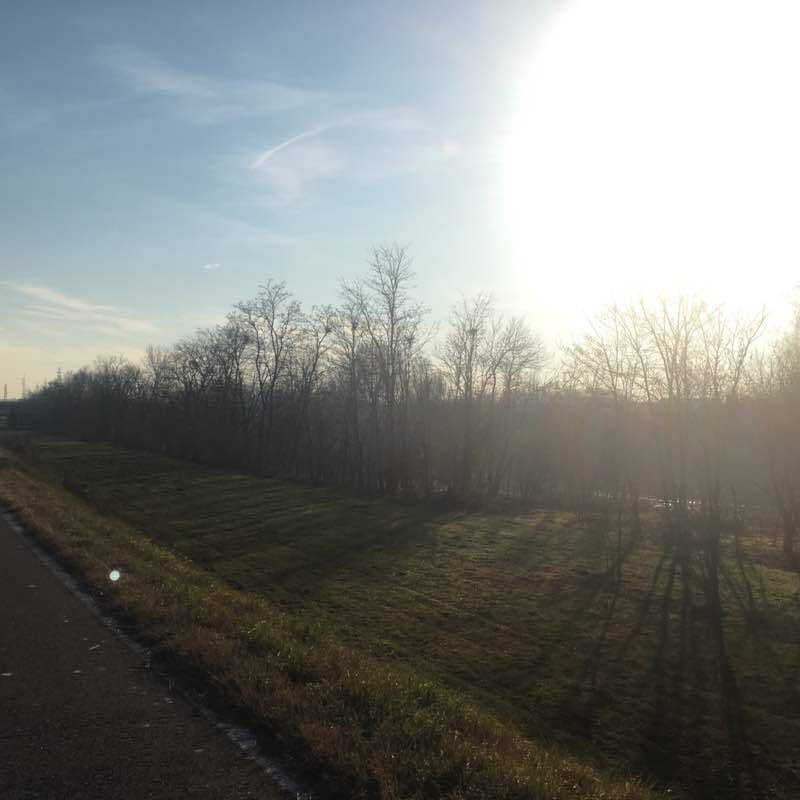 Parco dell’Adige sud