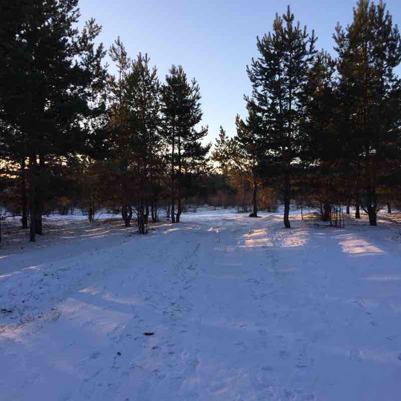 Park walking route map in Tolyatti