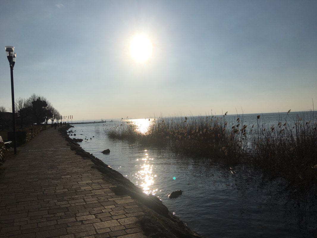 Passeggiata Garda Lazise E Ritorno Percorso A Piedi
