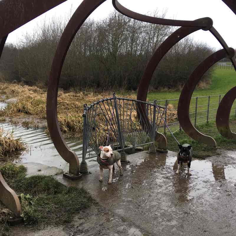 Herrington park walking route map in New Herrington