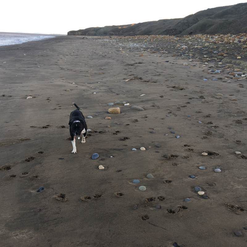 Windy winter walk walking route map in Blackhall Colliery
