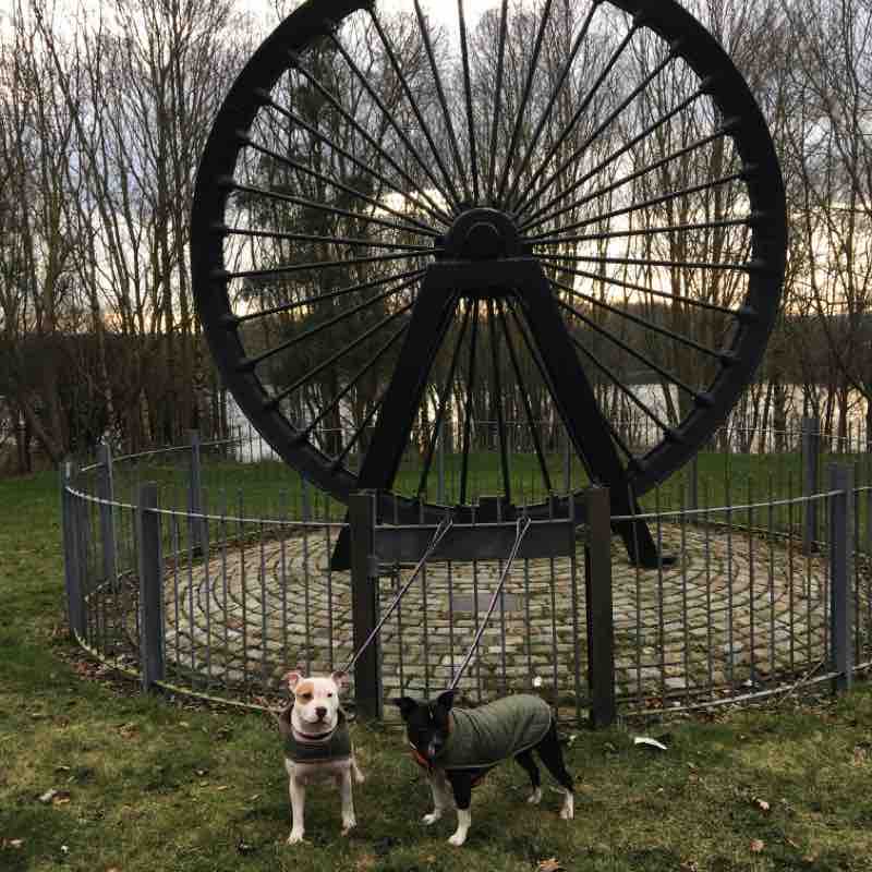 Hetton Lyons country park walking route map in Hetton-le-Hole