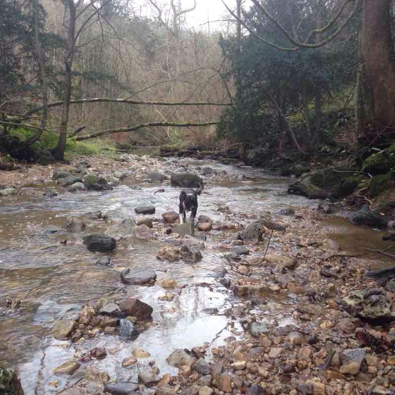 Castle Eden walk walking route map in Blackhall Colliery