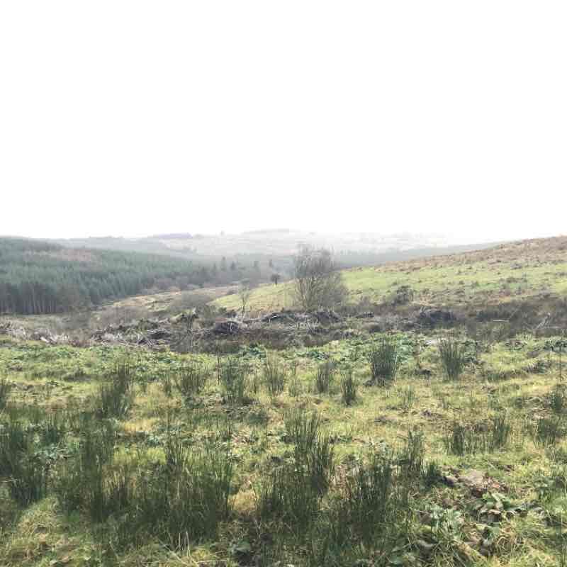 Killeen Glen walking route map in Hollyhill