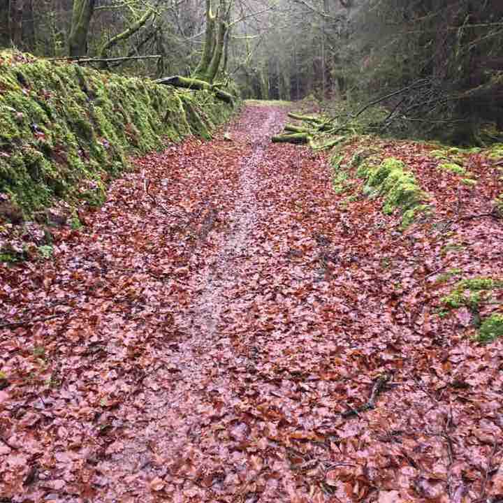 Killeen glen walking route map in Reabeg