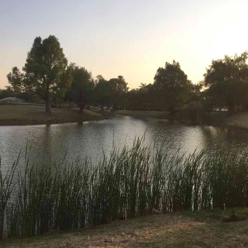 Temixco Sendero Emiliano Zapata, Municipio de Morelos, México Pacer