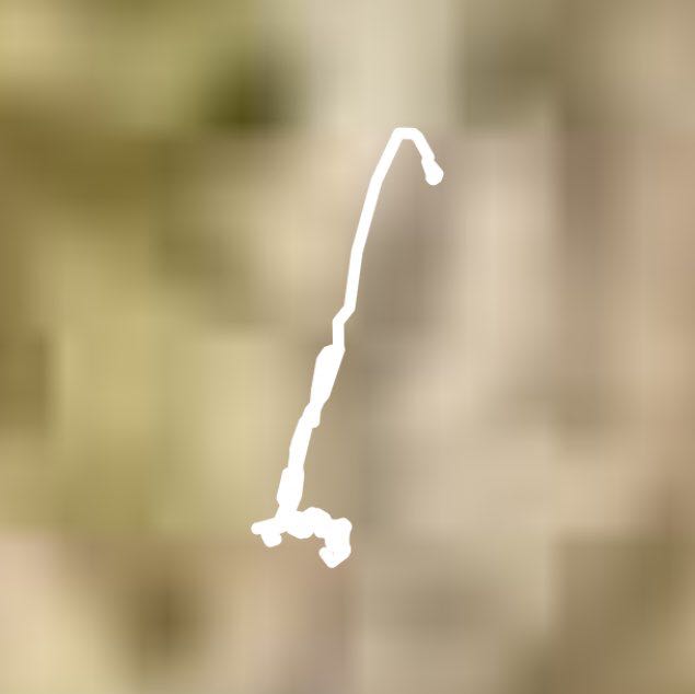 Paseo por Matalascañas