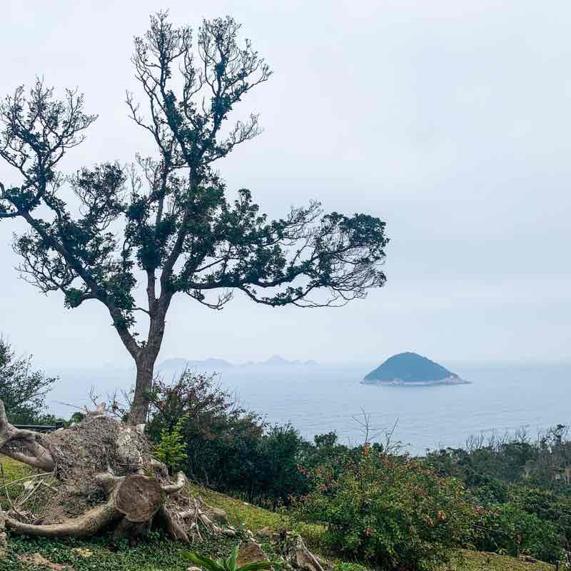 龍蝦灣郊遊行