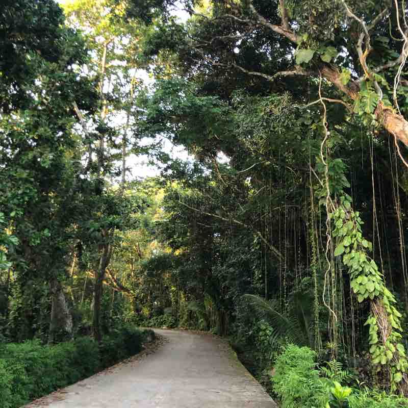 La Digue Seychelles. Small run walking route map in Silhouette