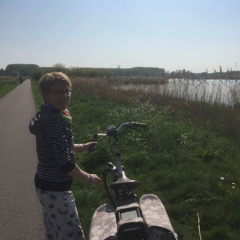 Maassluis Vlaardingen walking route map in Maassluis