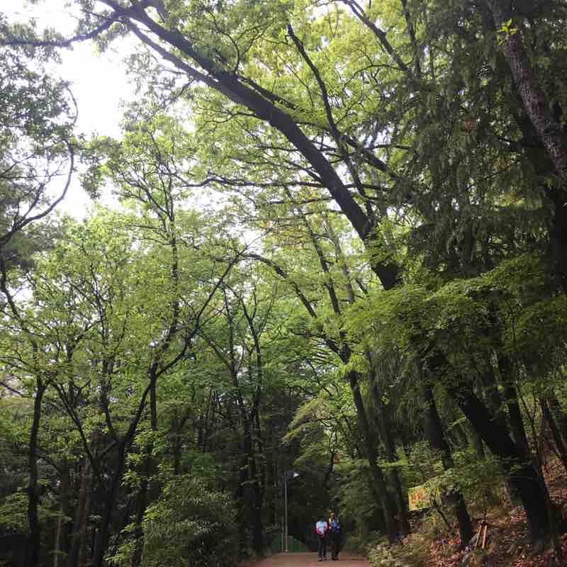 성지곡수원지 바람곡ㅐ