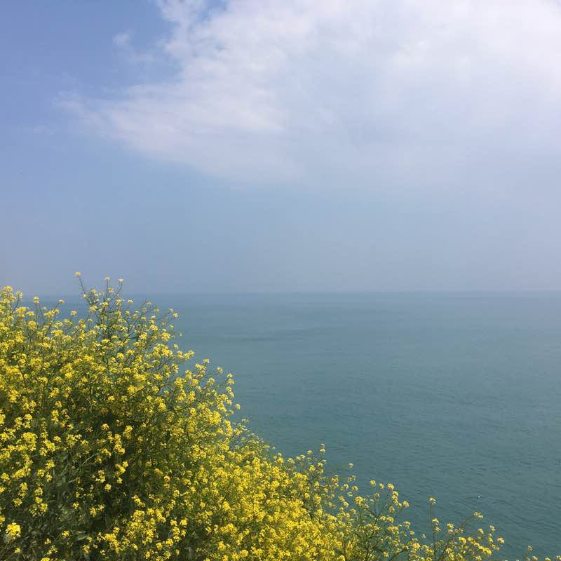 이기대 해안 찬책ㄹㅗ