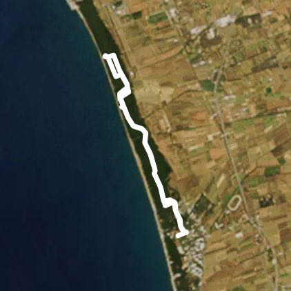 Marina di Bibbona - Pinienwald