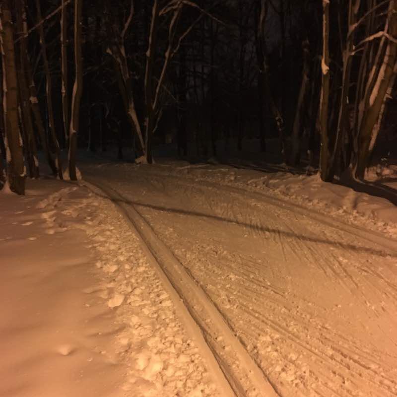 Park