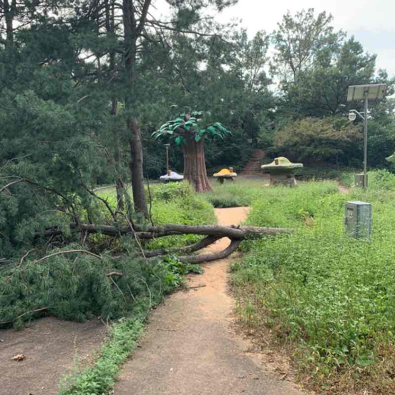 gps 이상.. 이말사ㄴ