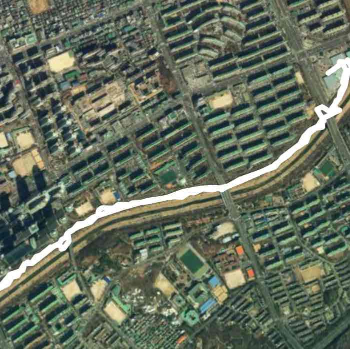 양재천 도곡동 뱀과함께