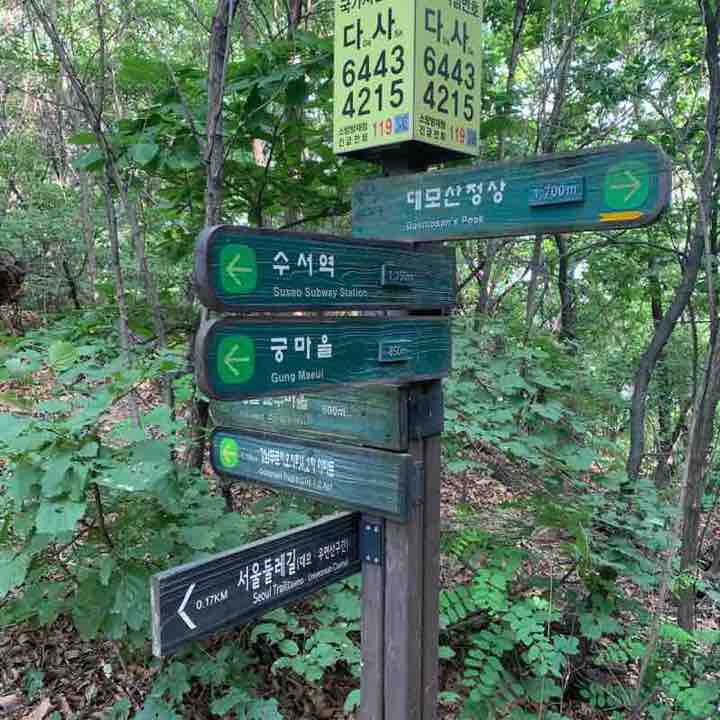 대모산 중가ㄴ