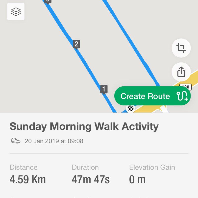 International School Track