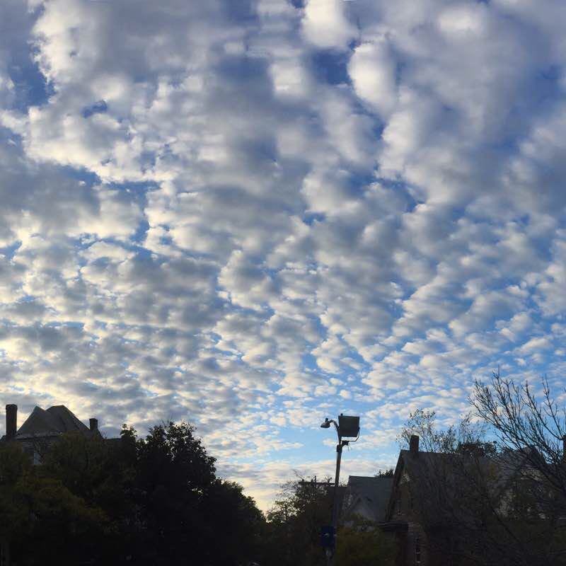 Quick jog or mini walk