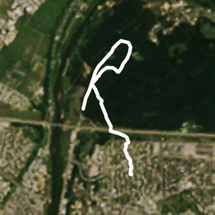 kleboniskio forest park