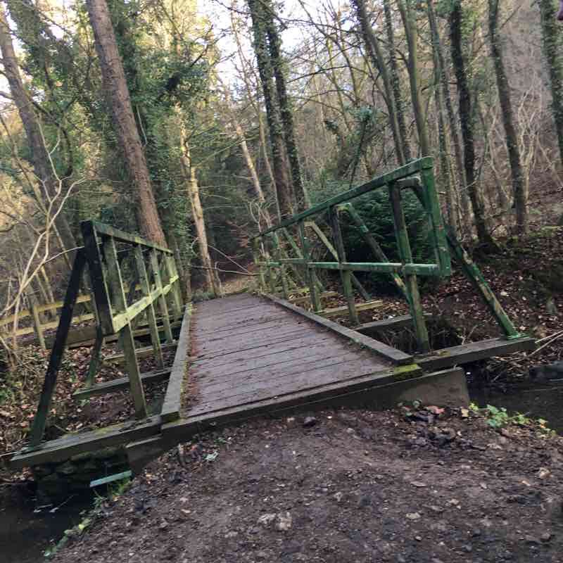 Castle Eden Dene walking route map in Castle Eden