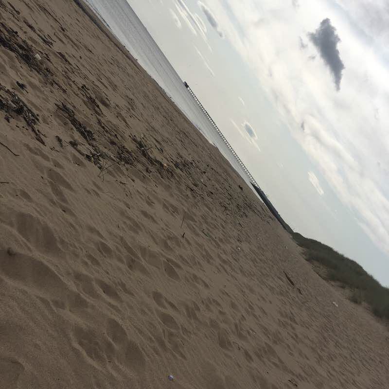 Holiday dogs last walk