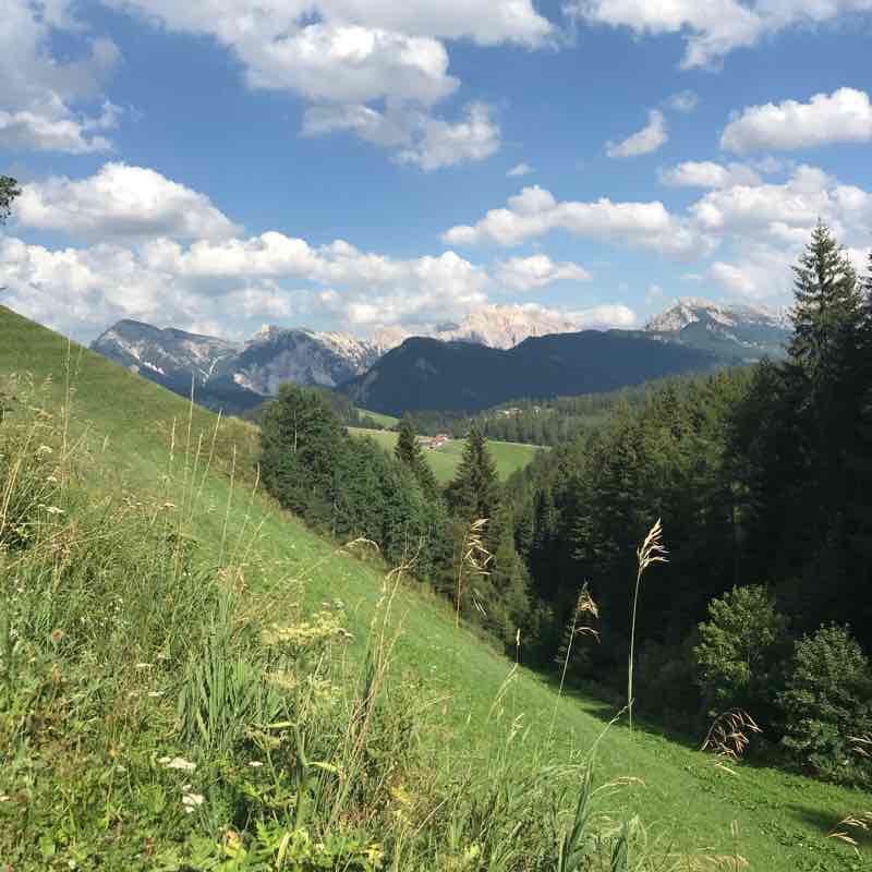 Along path 20 from Antermoia walking route map in San Martino In Badia