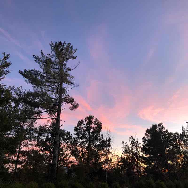 Promenade by Waxhaw !!! walking route map in Waxhaw