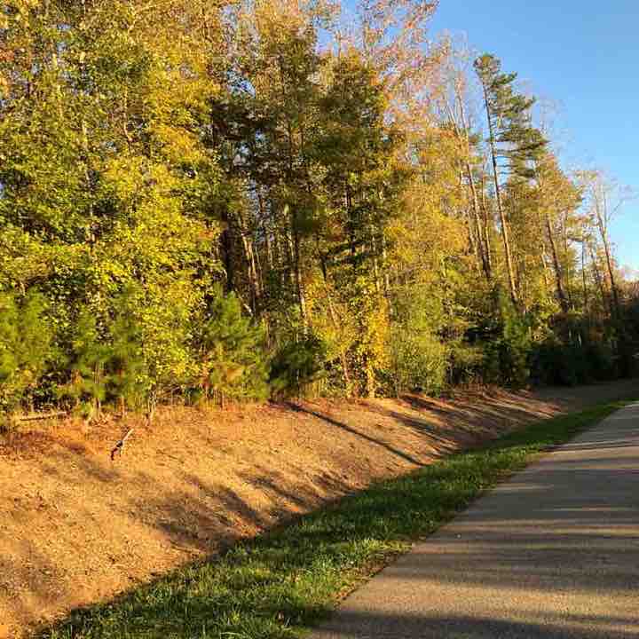 DOGWOOD PARK Walk Waxhaw, North Carolina, USA Pacer