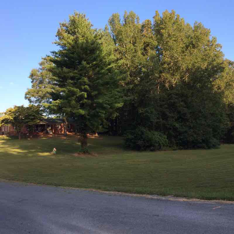 Neighborhood Waxhaw. walking route map in Waxhaw