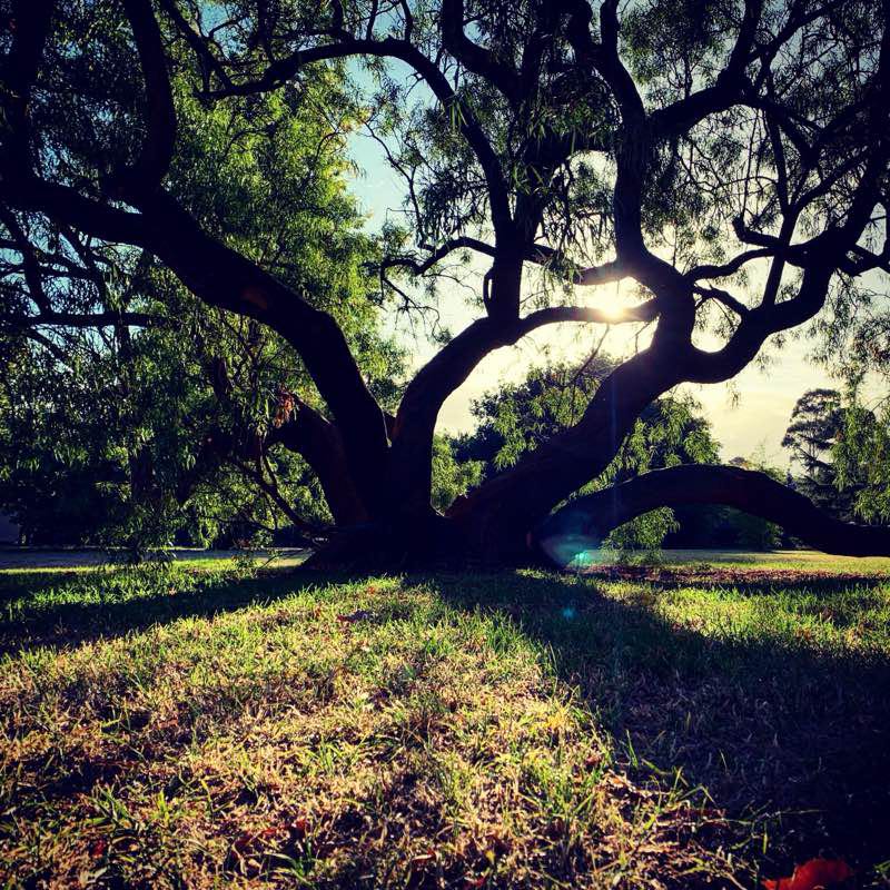 walking near me in Riversdale Park in summer